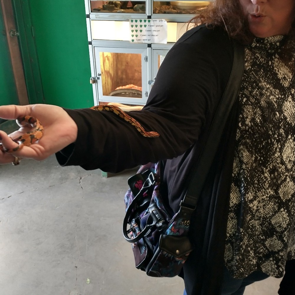 Meet your Posher, Carol